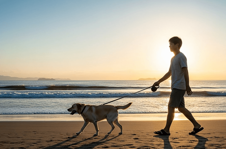 鎌倉のドッグトレーニングはPLANET SKIP(プラネットスキップ)