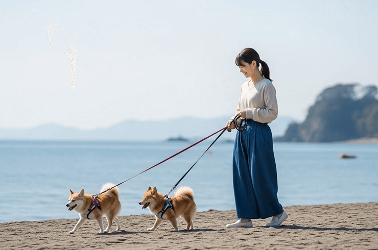 鎌倉で散歩代行ならPLANET SKIP（プラネットスキップ）